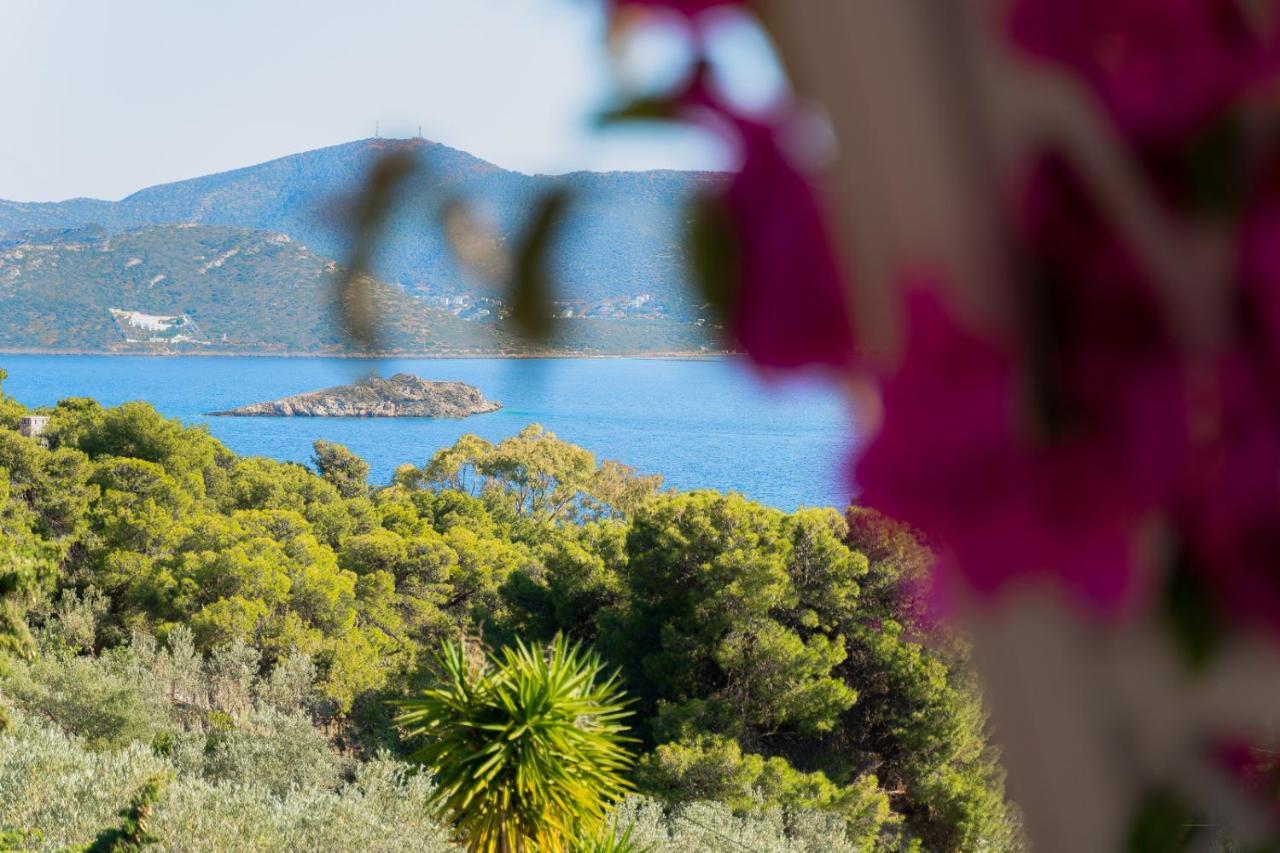 Villa Beis Pórto Ráfti Dış mekan fotoğraf